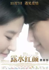 Plakat filmu Hong Yan Lu Shui