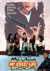Plakat filmu Moje szalone życie