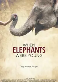 Plakat filmu When Elephants Were Young
