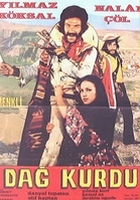 plakat filmu Dag kurdu