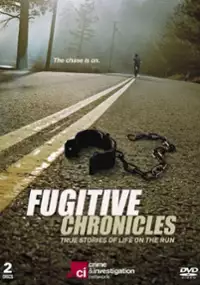 Plakat serialu The Fugitive Chronicles