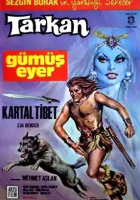 Plakat filmu Tarkan gümüs eyer