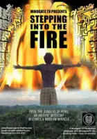 Ross Evison / Stepping into the Fire