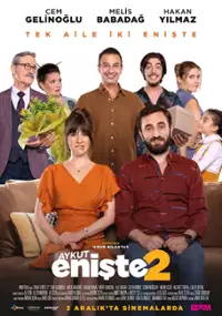 Plakat filmu Aykut Enişte 2
