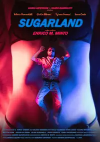 Plakat filmu Sugarland