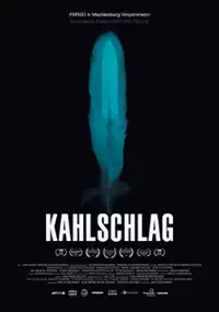 Plakat filmu Kahlschlag