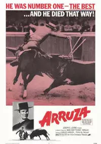 Plakat filmu Arruza