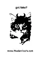 plakat filmu The Devil Cats