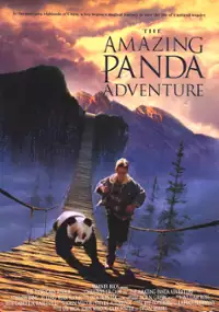 Plakat filmu Niezwykłe przygody małej pandy