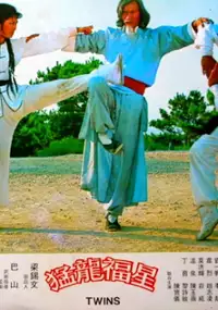 Plakat filmu Meng long fu xing