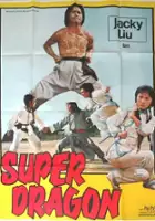 plakat filmu Meng long fu xing