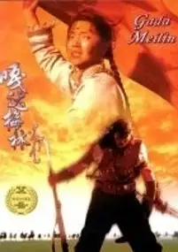 Plakat filmu Gada Meilin