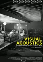 plakat filmu Visual Acoustics