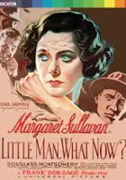plakat filmu Co teraz, mały człowieku?
