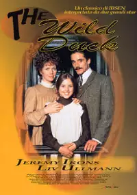 Plakat filmu Dzika kaczka