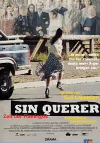Plakat filmu Sin querer