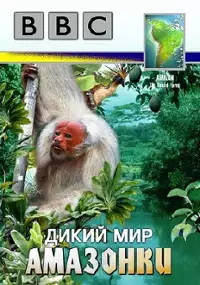 Plakat filmu Amazon: Land of the Flooded Forest