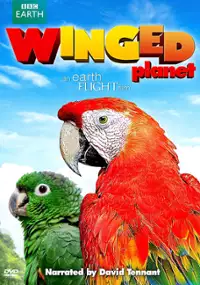 Plakat filmu Winged Planet