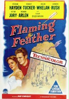 plakat filmu Flaming Feather