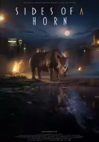 Plakat filmu Oblicze rogu