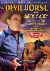 Plakat filmu The Devil Horse