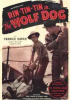 plakat filmu The Wolf Dog