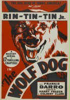 plakat filmu The Wolf Dog