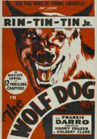 plakat filmu The Wolf Dog