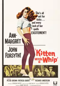 Plakat filmu Kitten with a Whip