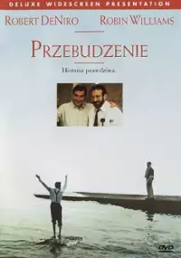 Przebudzenia