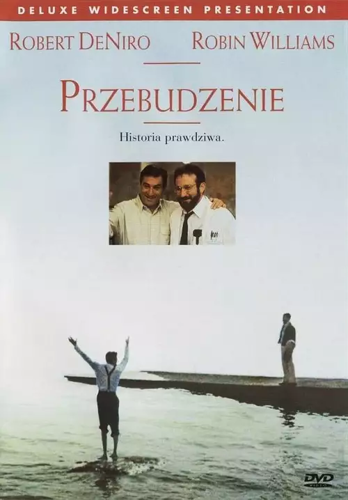 plakat filmu Przebudzenia