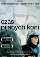 plakat filmu Czas pijanych koni