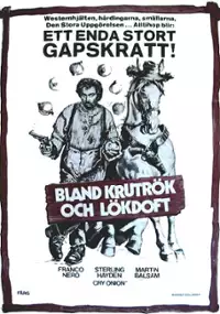 Plakat filmu Cipolla Colt