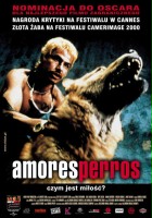 plakat filmu Amores perros
