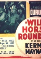 plakat filmu Wild Horse Round-Up