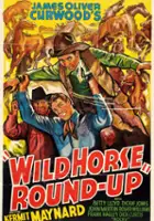 Ace Cain / Wild Horse Round-Up