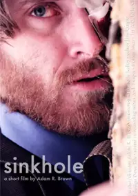 Plakat filmu Sinkhole