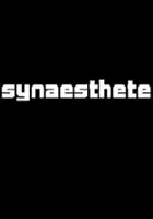 plakat gry Synaesthete