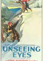 plakat filmu Unseeing Eyes