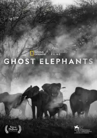 Plakat filmu Ghost Elephants