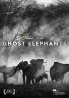 plakat filmu Ghost Elephants