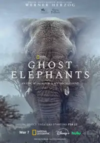 Plakat filmu Sny o słoniach