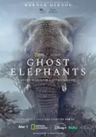 plakat filmu Ghost Elephants