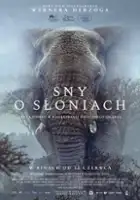 plakat filmu Sny o słoniach