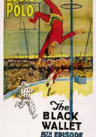 Jack Newton / King of the Circus