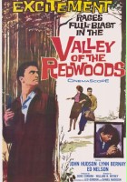 plakat filmu Valley of the Redwoods