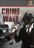 plakat filmu Crime Wave: 18 Months of Mayhem
