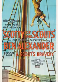Plakat filmu Scotty of the Scouts