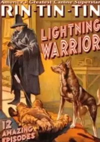 Plakat filmu The Lightning Warrior