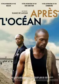Plakat filmu Les Oiseaux du ciel